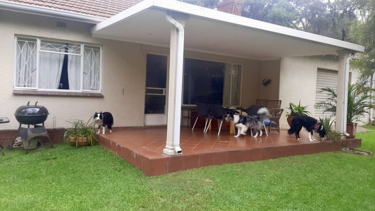 c7cb6443 862e 4137 8b6d d5a0521d01d8 2 768x432